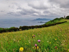 第千五百七作　　「野の花やさしく　じつとり重たい旅の空」　山口県油谷