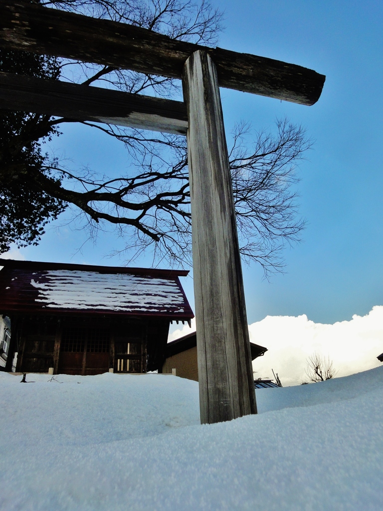 第千三百十五作　　「冬の雪を　どさりと落とした　鳥居を拝む」　　新潟県塩沢