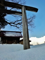 第千三百十五作　　「冬の雪を　どさりと落とした　鳥居を拝む」　　新潟県塩沢