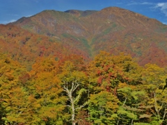 第千二百十四作　　「すつかり秋に染まりし　山を観てしみじみ」　福井県上打波