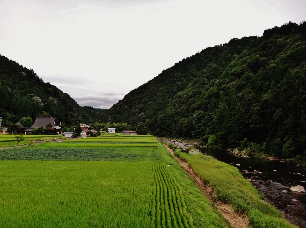  第千百三十四作　　「川風のゆくえ　暮れの鐘とほく」　岐阜県高鷲