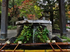 第千二百二十二作　　「湧き出した手水が　やけに冷たい　秋夕のしぐれ」　東京都調布