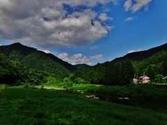 第千四百六十四作　　「奥越は　雲のながれて　風んなか」　福井県和泉　