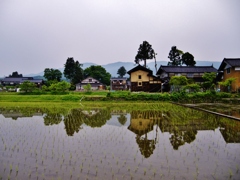 第二千八百九十作　「ひと雨きさうな　稲の風吹く」　富山県南砺