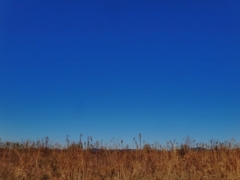 第千六百三十八作　　「なんとかかんとか　落ち着けさうな　枯れ野の空」　静岡県二俣