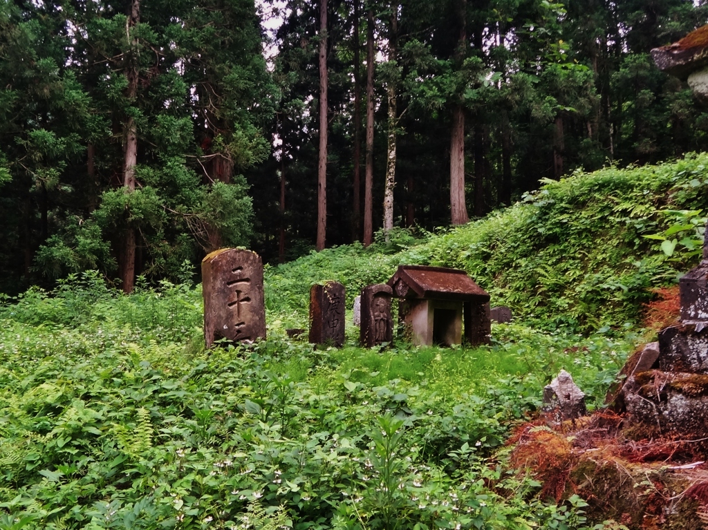 第三千三百十九作　「石塔傾ひてゐる　夏草繁れるままに」　秋田県院内
