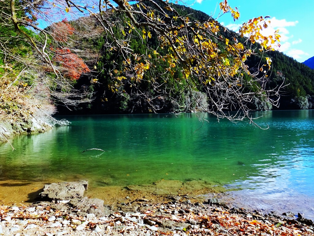 第四千百四十七作　「ひと仕事　終へて見あげて　落葉ちりくる」　愛知県富山