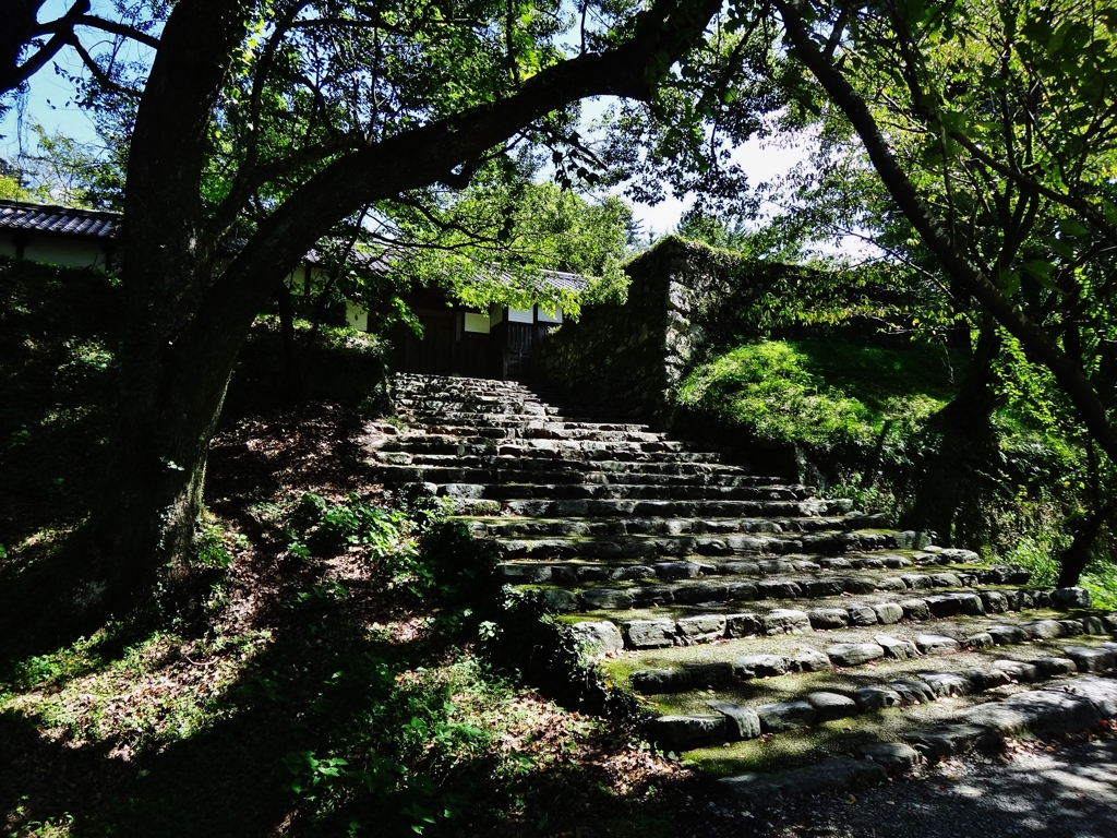 第八百十作　　「やつと腰を　葉陰木陰」　福岡県秋月　