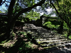 第八百十作　　「やつと腰を　葉陰木陰」　福岡県秋月　