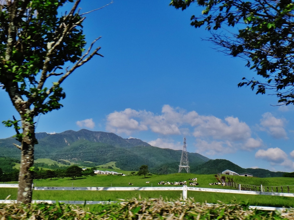 第二千百九十六作　「風の中　風に吹かれて　あんたの名前を」　栃木県日光