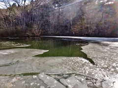 第四千二百四十三作　「池氷　割れるや陽射し　あたたかく」　福島県南相馬
