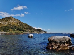 第四千百九十五作　「新年の　ふるさとの　波の子とおちつく」　千葉県鴨川