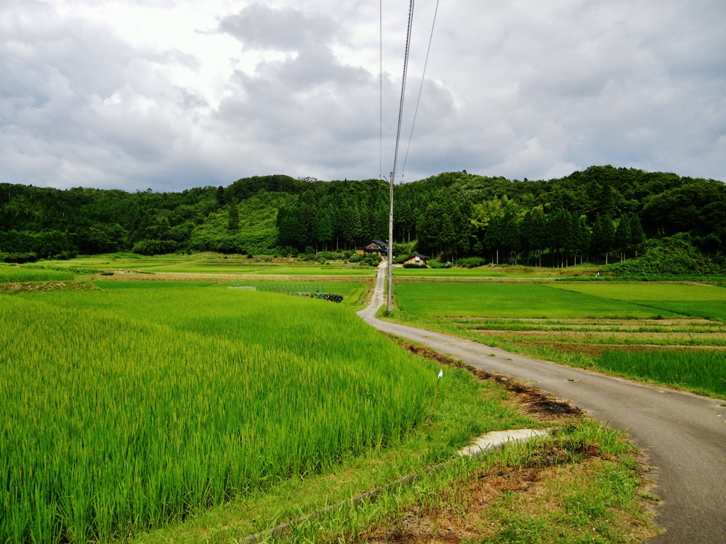 第七百五十七作　　「一本道の　曲がりくねつて　あの山越えて」　石川県輪島