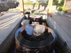 第千百八十四作　　「朝のお水酌む」　福井県大野