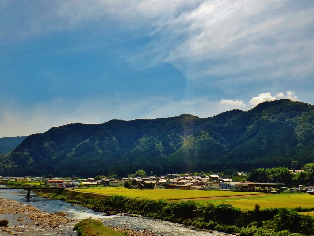 第三千三百四十八作　「長良流るる　夏の名残の　鮎を追ふ」　岐阜県大和