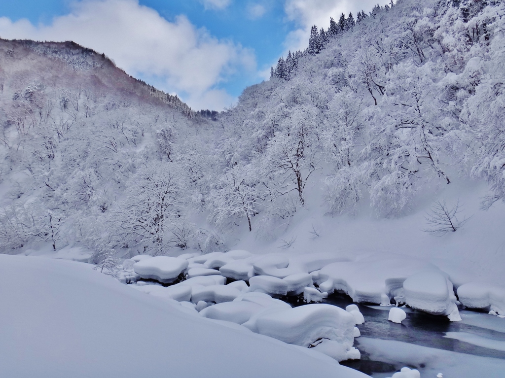 第三千八百七十五作　「やうやく降りやむ　いちめんの雪」　福井県和泉