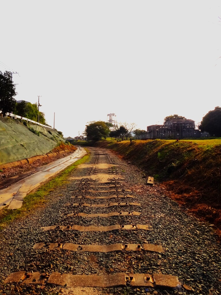 第四千百四十一作　「外された　鉄路とぼとぼ　独り言」　福岡県大牟田