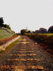 第四千百四十一作　「外された　鉄路とぼとぼ　独り言」　福岡県大牟田