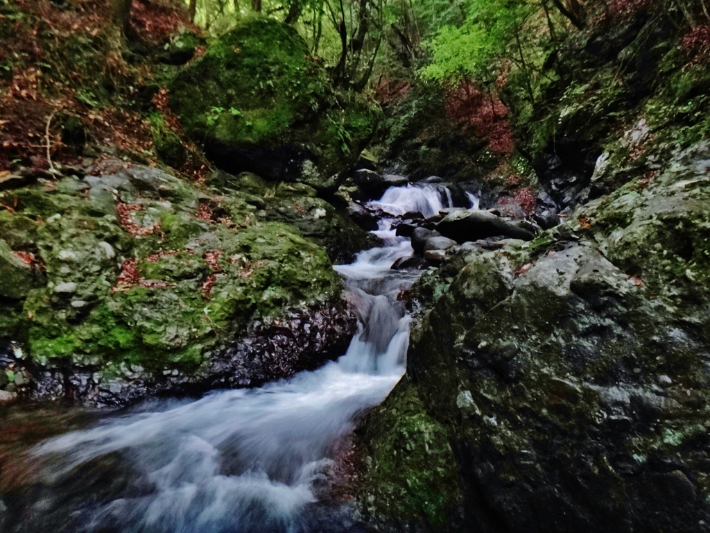 第二千六百二作　「山ふかく　胸いつぱいに　沢水のうまさ」　山梨県南部