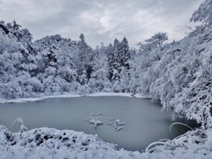第二千七百八十四作　「池氷　解けだすまへに　立つ」　福島県南相馬