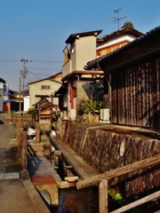 第三千九百三十二作　「水場　明るい笑ひで　陽の長うなり」　滋賀県安土