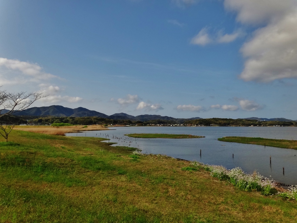 第千三百六十一作　　「枯れ草　かきわけて　 若草」　島根県出雲