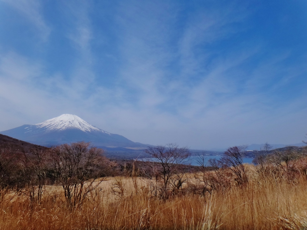 第三千八百二十九作　「枯れ草　枯れ切つて　富士の山はるか」　山梨県山中湖