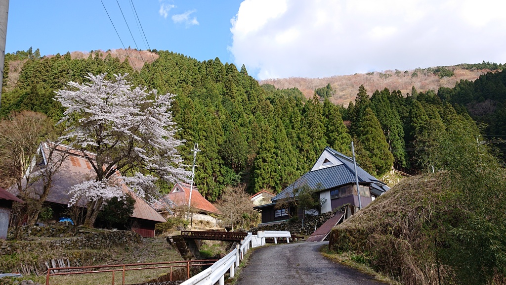 第千七百四十二作  「呼びとめられて  桜のある家だつた」   滋賀県朽木