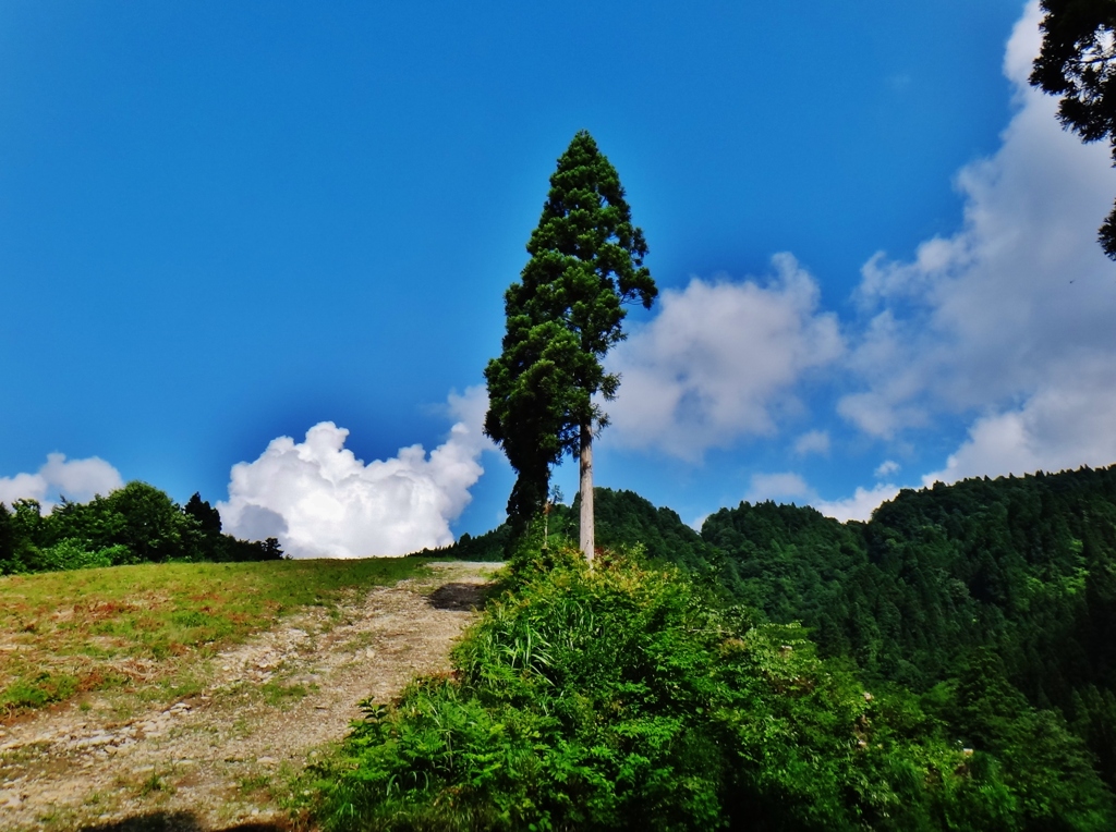 第二千五百七十四作　「長い砂利道　のぼりきつて　峯雲」　富山県粟巣野