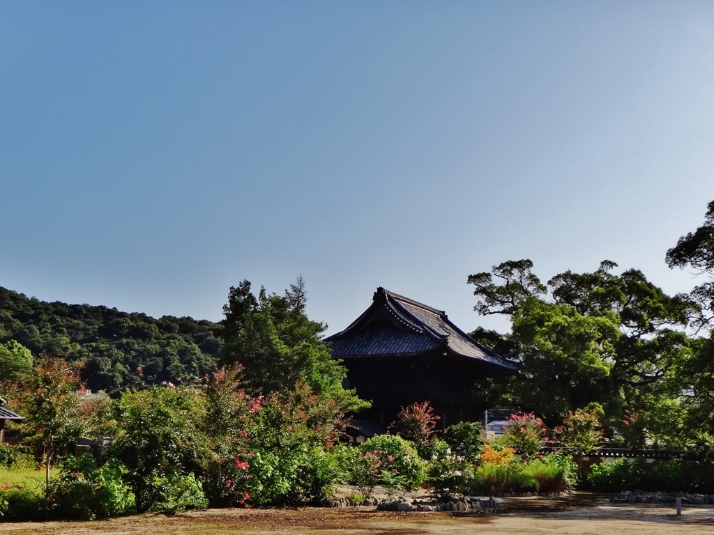 第千九百十五作　　「山門そのままに　草の繁れるまま」　山口県防府