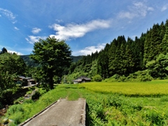 第千百五十四作　　「ならんで見あげて　少し高くなつたやうな空」　山形県三瀬