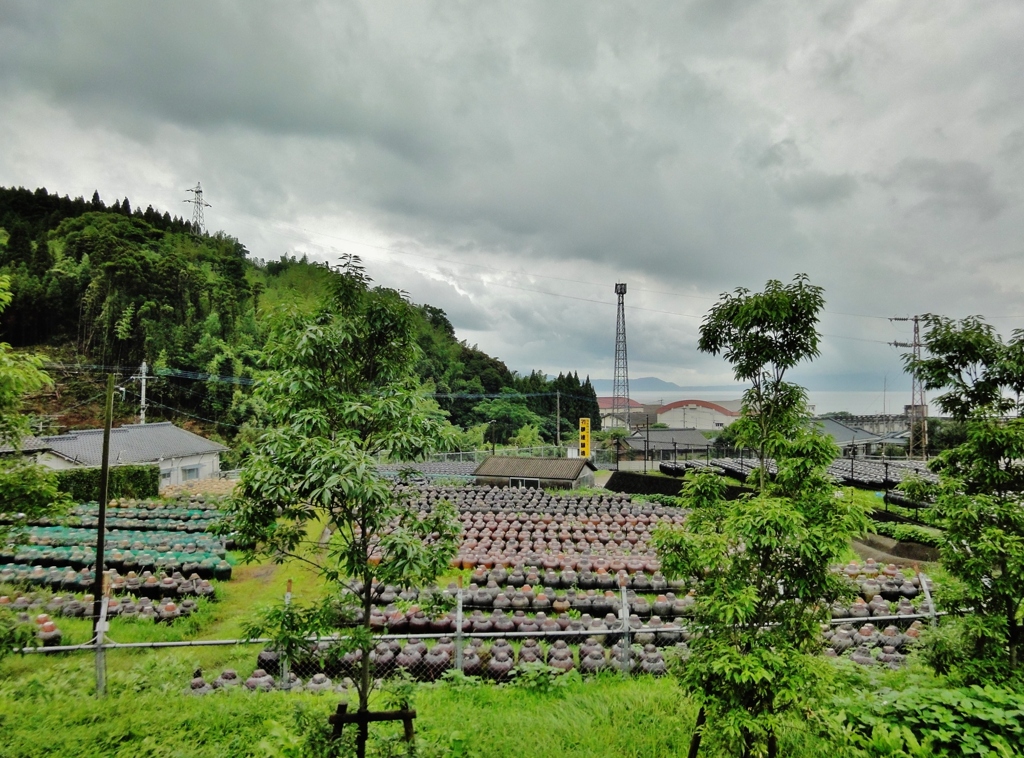 第三千二百五十五作　「草萌ゆる　草に眠れる　黒酢の壺」　鹿児島県霧島