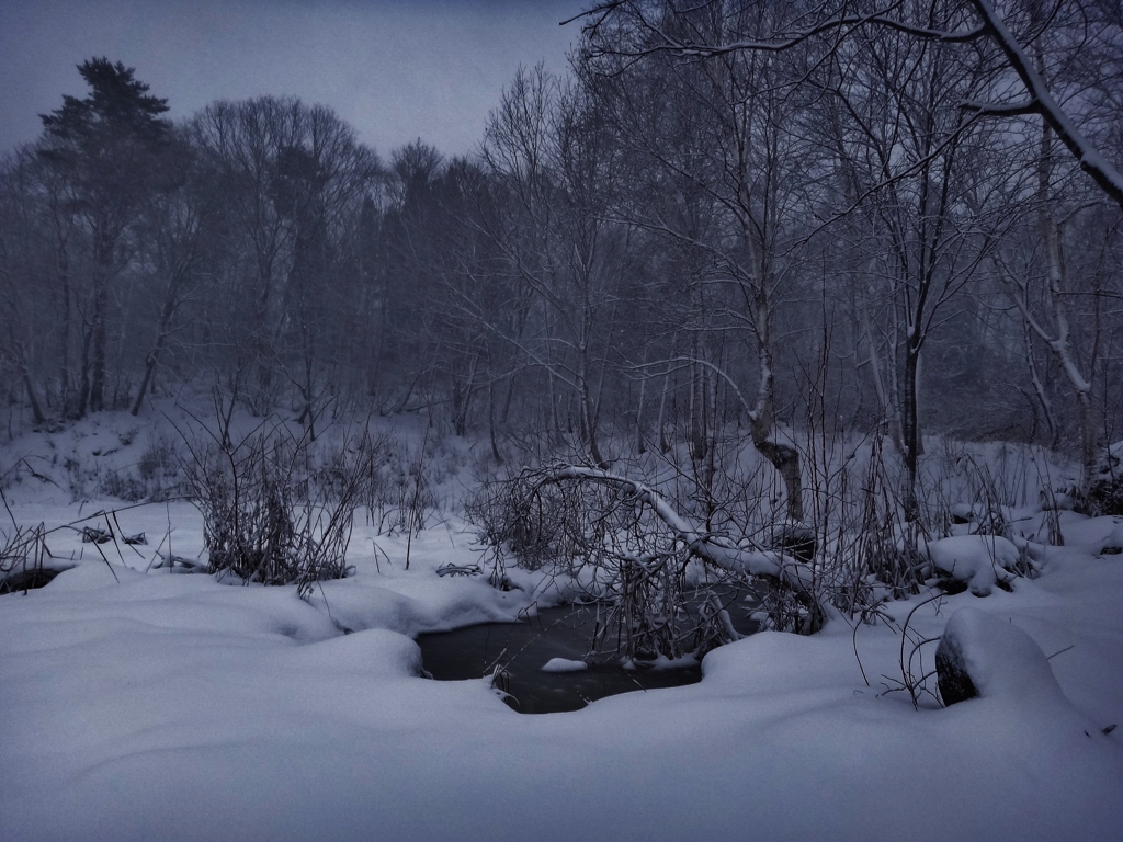 第二千三百八十一作　「雪あかり　つとに思ほゆ　燗酒の温み」　秋田県湯沢