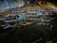第五百九十九作　　「岩のだんだん　鍾乳洞の　おめでたい旅人」　山口県秋吉