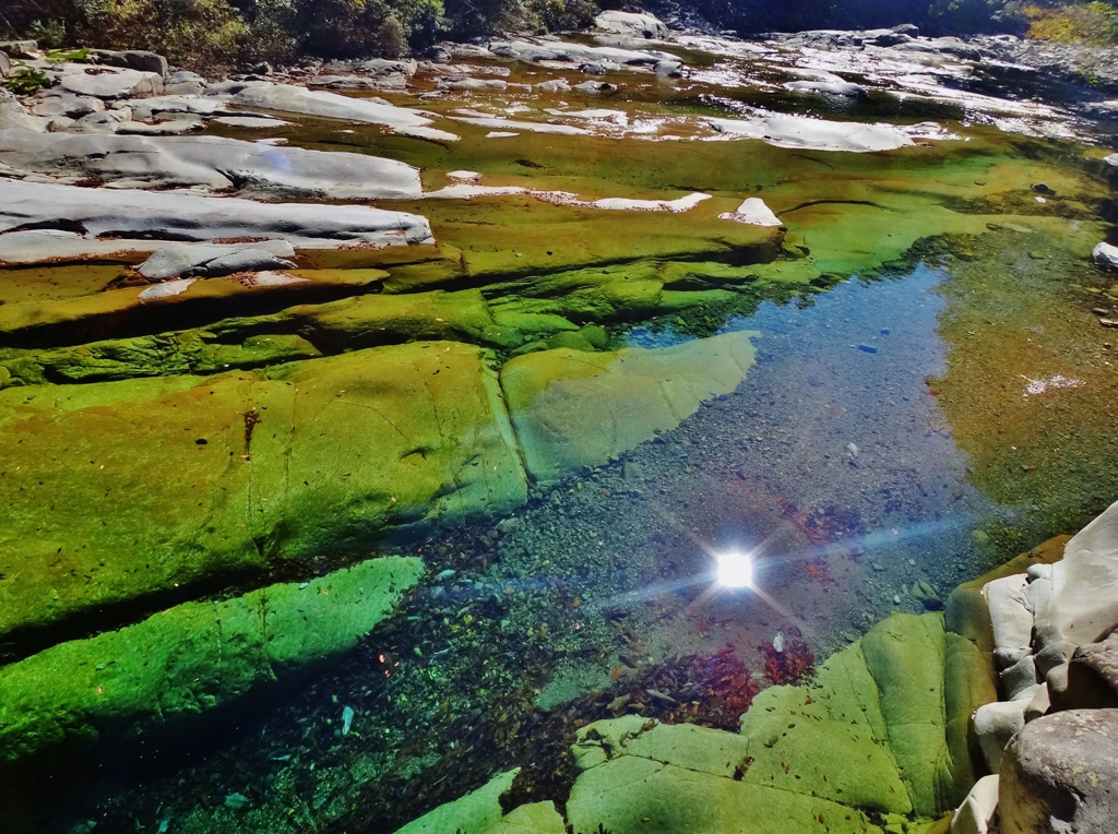 第三千八百十一作　「陽を吸へば　澄み切つて　水底の木の葉」　愛媛県面河