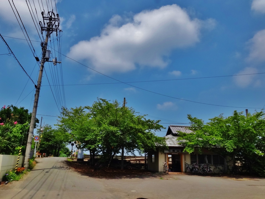 第三千六百九十七作　「炎天の　影はつきりと　小さな驛で」　愛媛県石鎚山