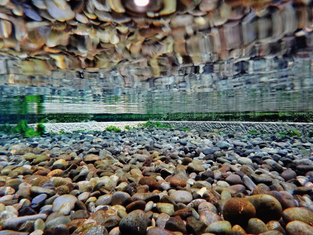第千五百十七作　　「澄みきつた　この水がまさに　いのちの水」　福井県大野