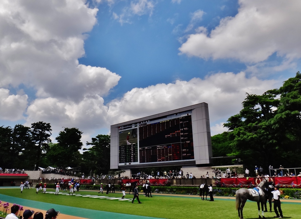 第二千八百六十一作　「皆一様に　齢をかさねて　競馬場の風青く」　東京都府中