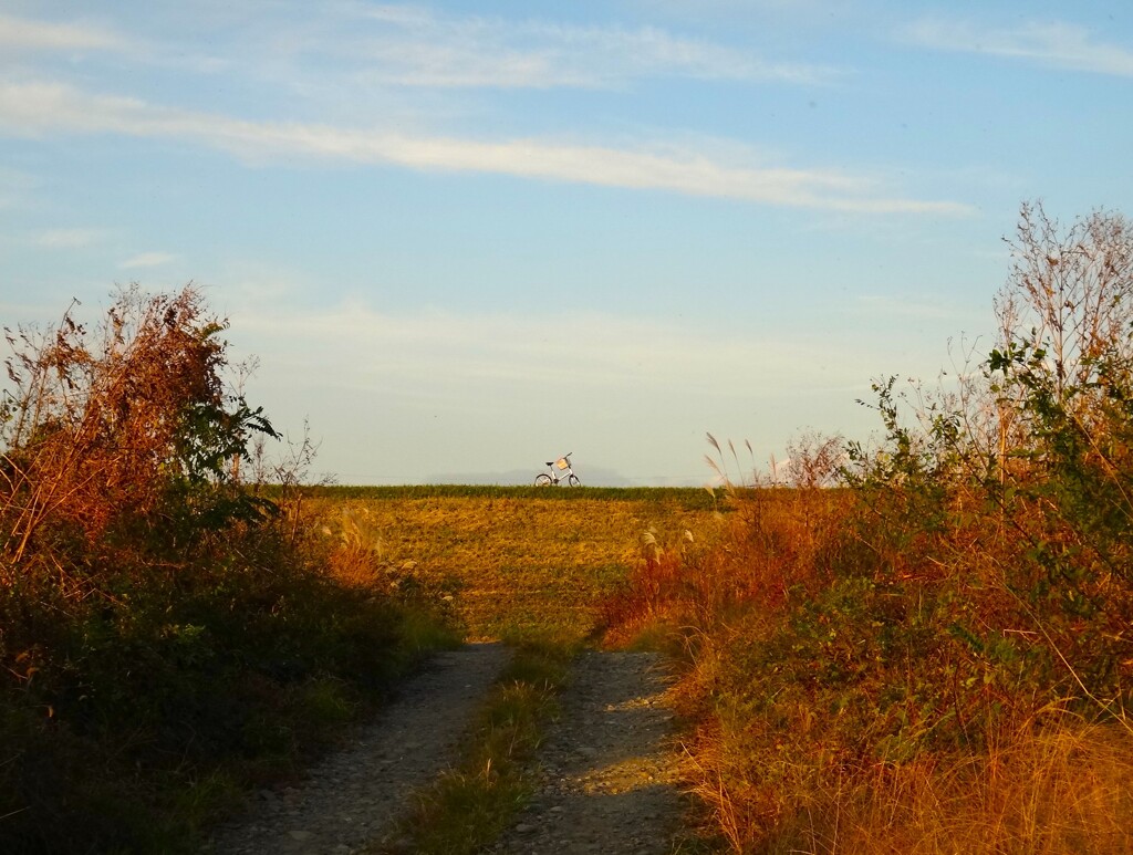 第四千百六十四作　「燗酒が　恋しくなりし　土手の自転車」　群馬県伊勢崎
