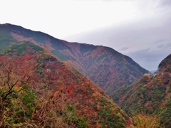 第千二百三十四作　　「奥山深く　山を越へ　山を越へて」　徳島県祖谷