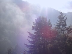 第四千百五十五作　「たち昇る　冷えた朝霧を　吸ふ」　山梨県南部