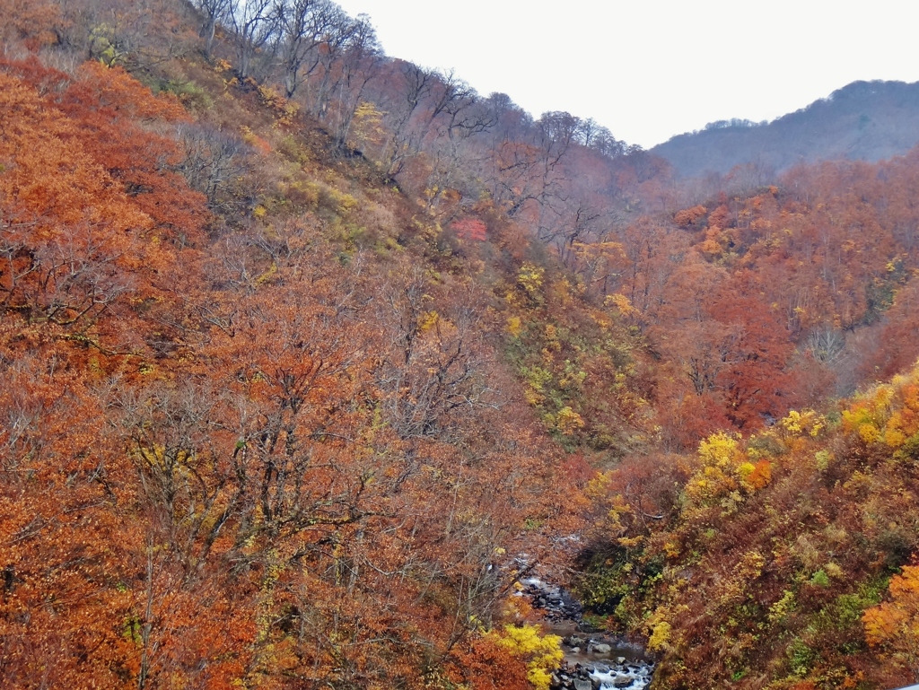 第三千四百十八作　「木の葉ふるふる　山に流れに　わたしの肩に」　山形県西川