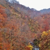 第三千四百十八作　「木の葉ふるふる　山に流れに　わたしの肩に」　山形県西川