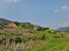 第千七百三十作　　「春風の　草の伸びやうに　座はる」　和歌山県有田川