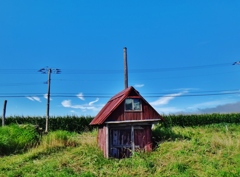 第四千二十二作　「ポンプ小屋　裏は一面　とうきび畑で」　青森県横浜