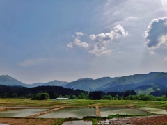 第三千二百三十六作　「山の雪消ゆ　稲植ゑらるる」　秋田県湯沢