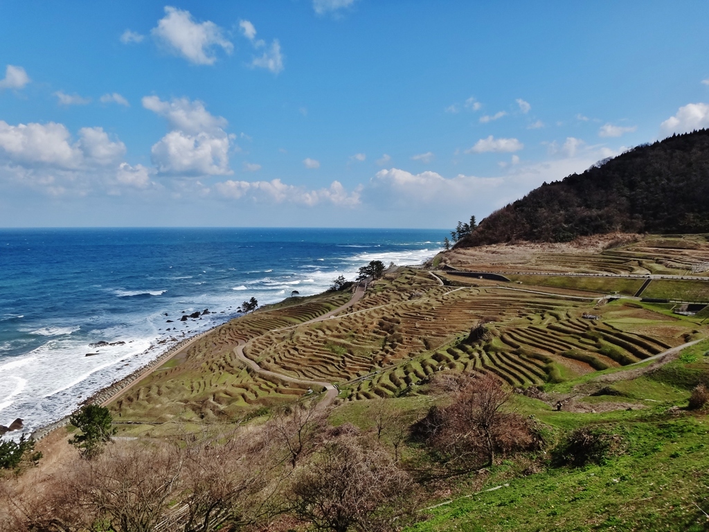 第九百九十五作 「だんだん田んぼ だんだん温うなり」 　石川県輪島
