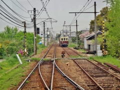 第千十七作　　「汽車はまつすぐ 春の陽射しへ」　香川県高松