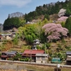 第六百三十七作　　「もりあがる 山の麓の 春うらら」　愛知県東栄　