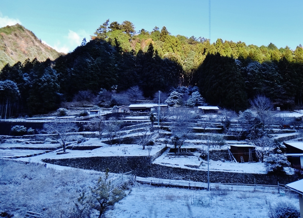 第二千三百六十三作　「山里しづかに　昨晩の雪」　愛知県東栄